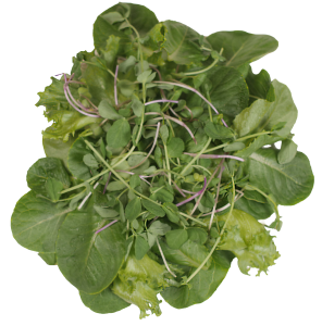 Harvest Superfood Microgreen product