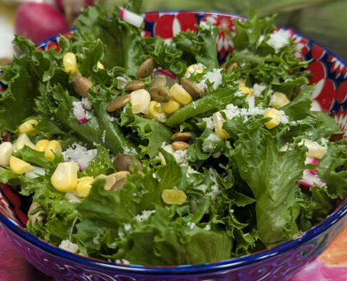 Zesty Southwest Salad with Revolution Farms Lettuce